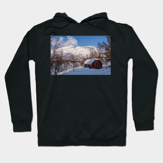 A Sauna with a View Hoodie by krepsher